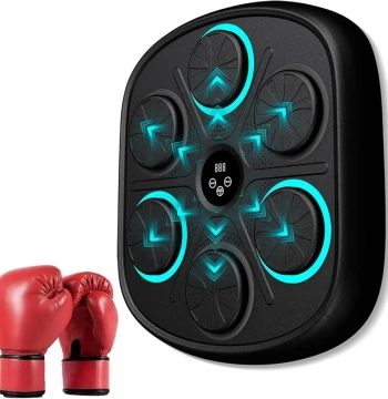 mm6501 music boxing